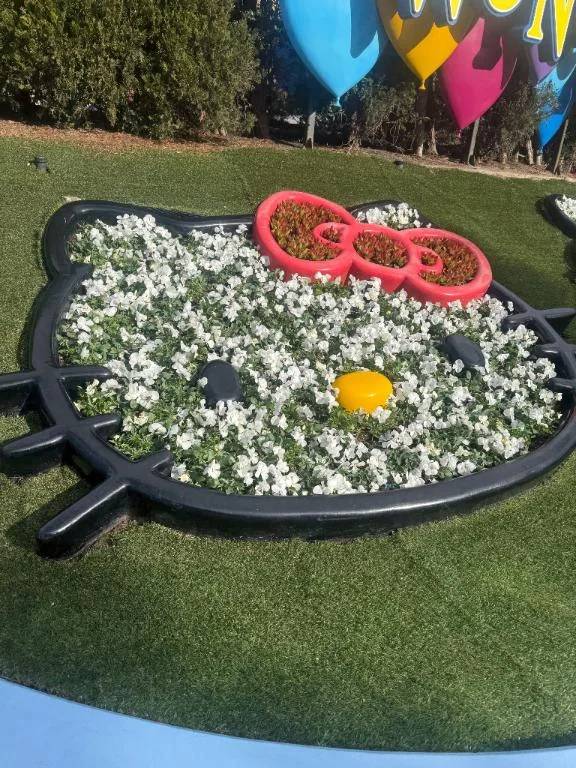 セブイレポケカ無し！