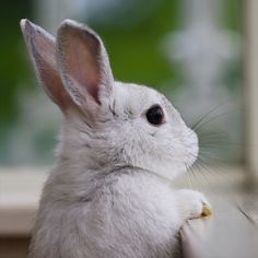 お客様へ
