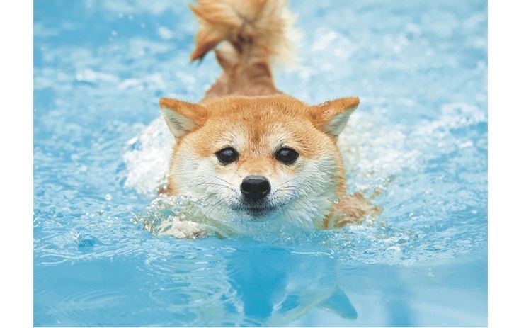 お客様へ