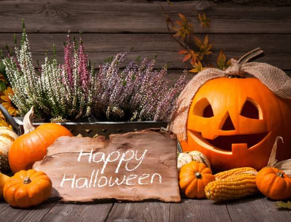 リカ(あなたのdoll性欲が止まりません)(若妻・熟女JUKU・MAX)