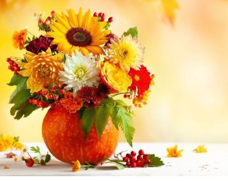 リカ(あなたのdoll性欲が止まりません)（若妻・熟女JUKU・MAX）