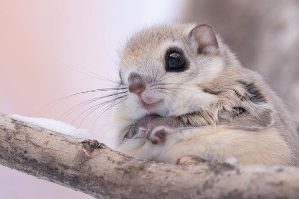 なな  (変態はお好き？）（若妻・熟女JUKU・MAX）