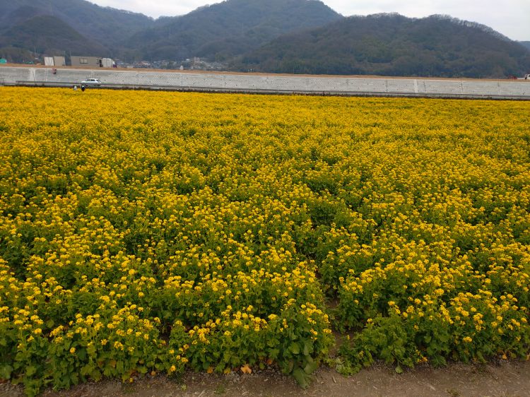 お客様へ