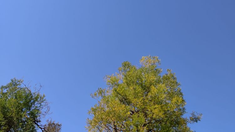 初めまして😊