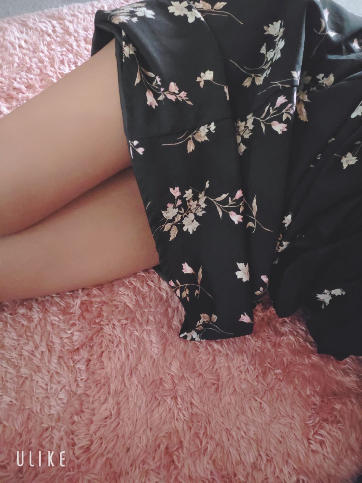 登場＼( ´･ω･`)┐しゅたっ