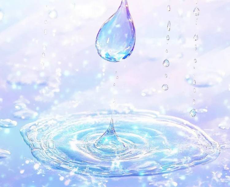 雨続き🌧️
