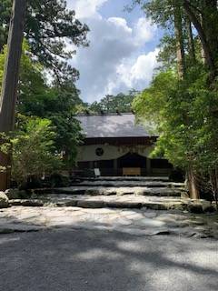 こんにちは🌴
