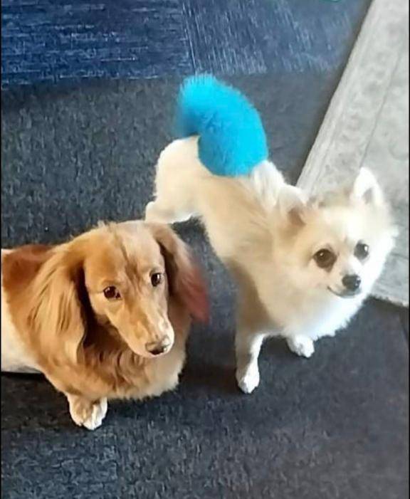 明日から3連休ですね?