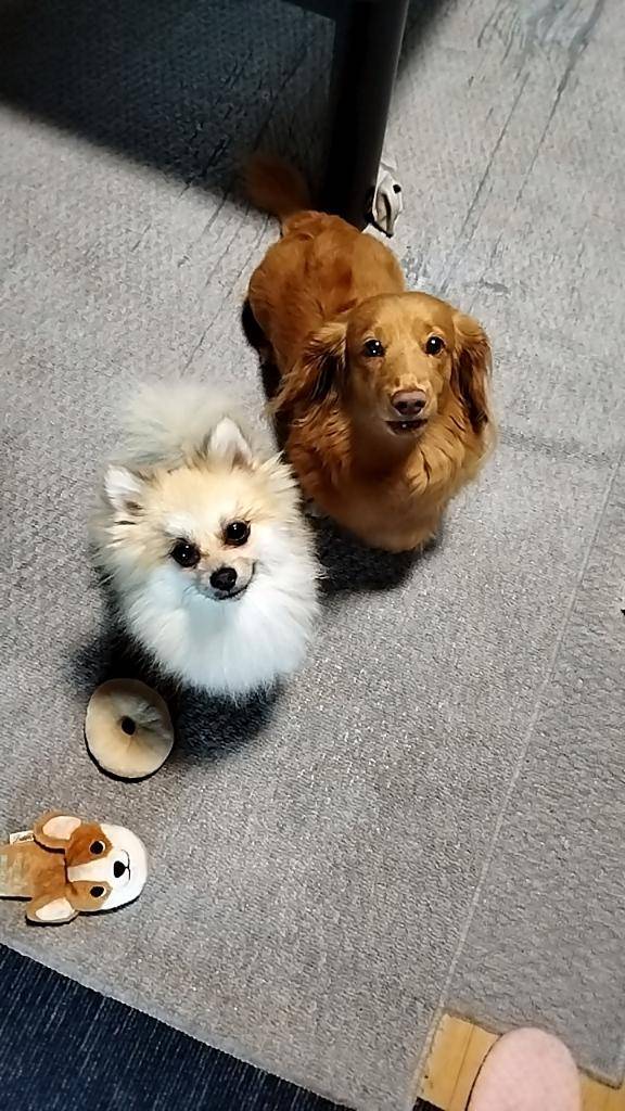 明日出勤します?