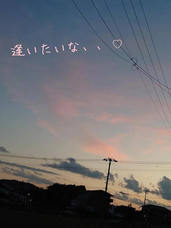 お散歩