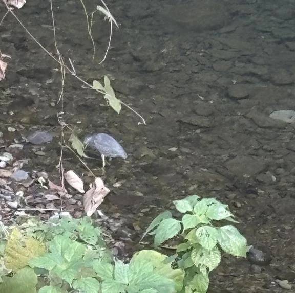 出勤お知らせぇ