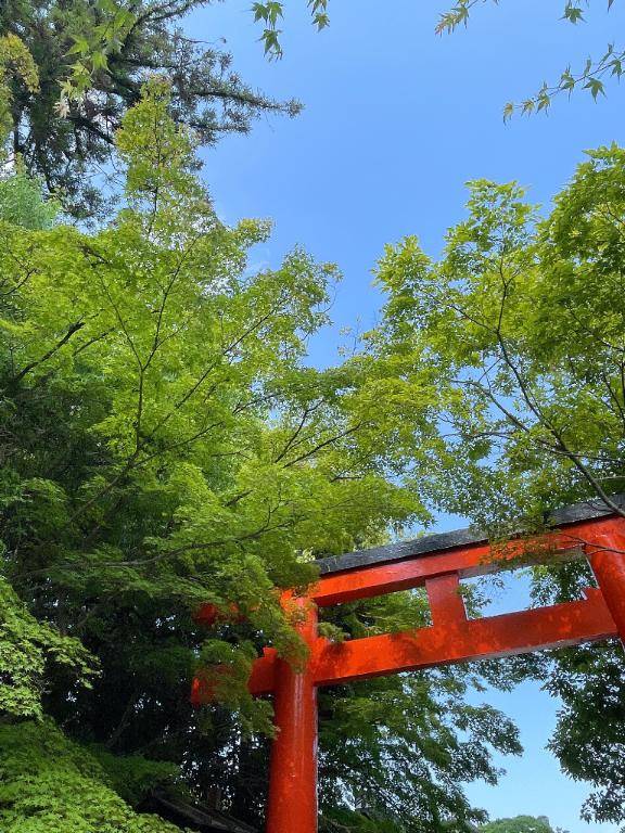 夏ってだけでキラキラしてた