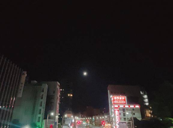 ずっと姉が欲しかった。姉を飼うのが夢だった。