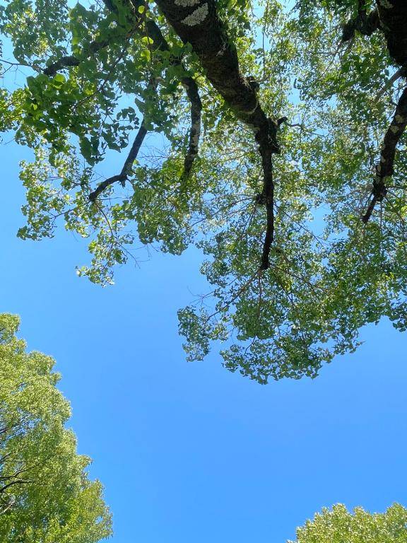 今も遠くで聞こえる、あの時のあの曲がさ