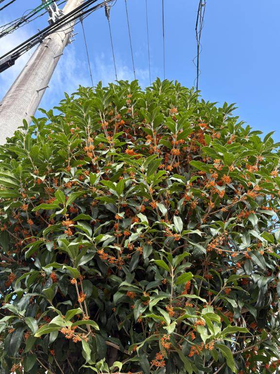 ??俺ァお前をずっと待ってたんだぜ……!!!