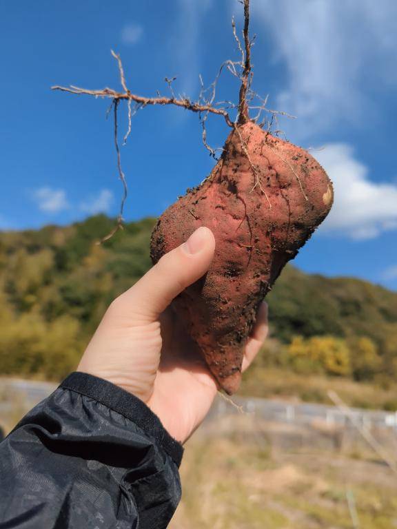 おっきいのゲット?