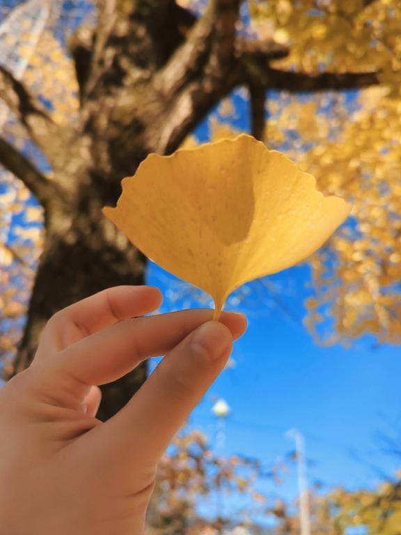 無くなっちゃった