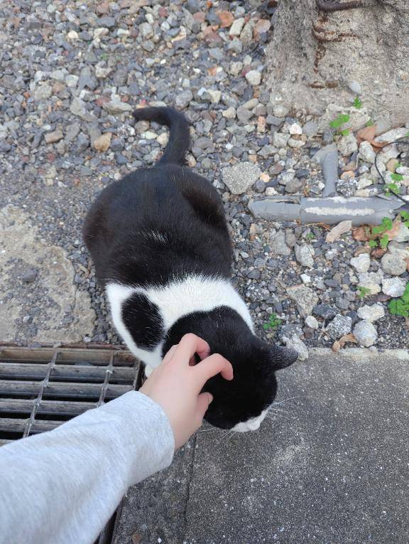 見られて恥ずかしい///