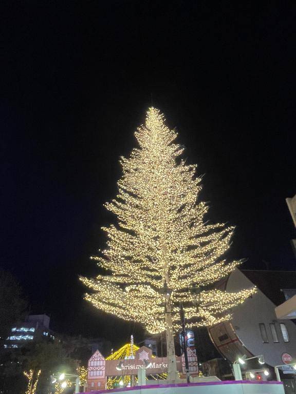 ひのき（ラグーン）