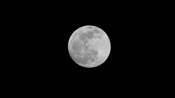 ひのき(ラグーン)