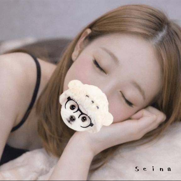 高知の夜ってなんか好き?