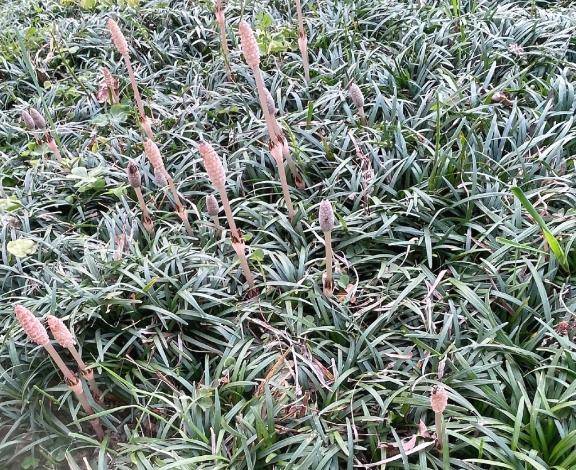 向上心、意外、驚き、努力