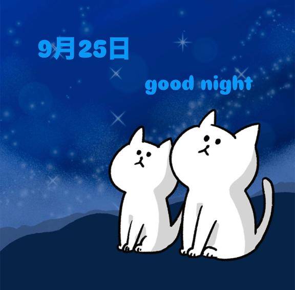なみ☆New(ラグーン)