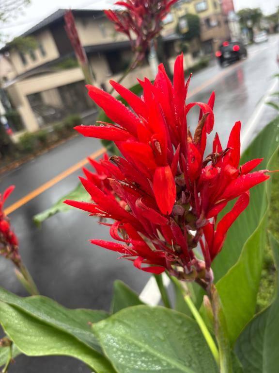 姫予約をキャンセルした場合。