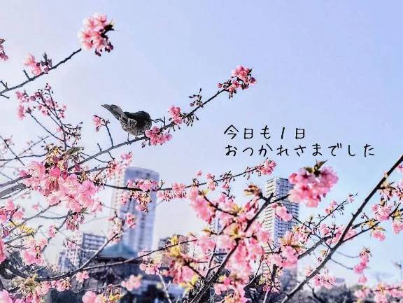 🎀御本指様🎀ご新規様🎀口コミ🎀