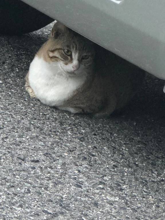 お疲れ様です