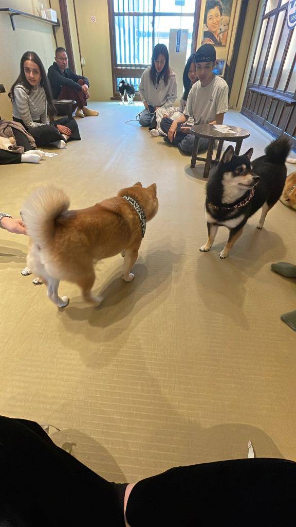 寂しい、?