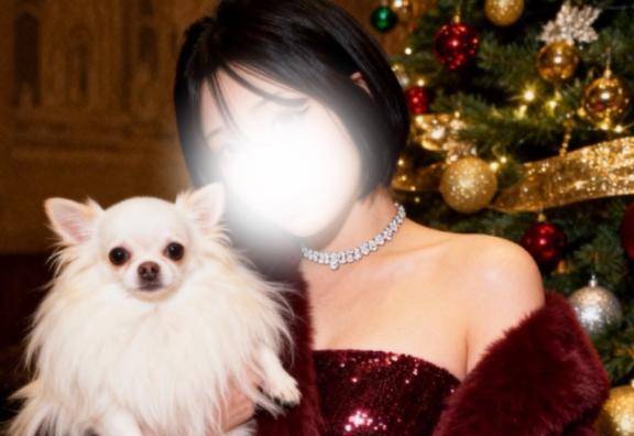 お久しぶりです?