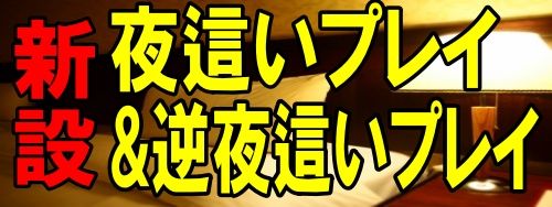 香川県 デリヘル 中・西讃　ヴィーナス
