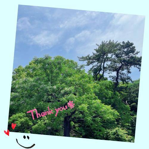 おはようございます♪