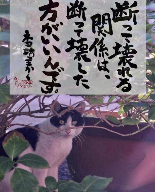 明日明後日