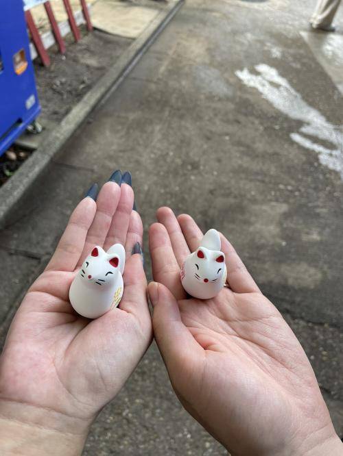 おはようございます
