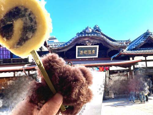 お気に入り✨✨