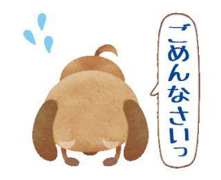 お詫び　(｡>﹏<｡)