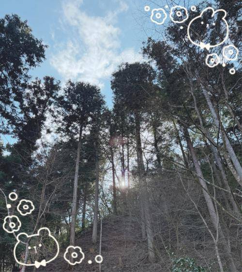 キャンプだホイ…