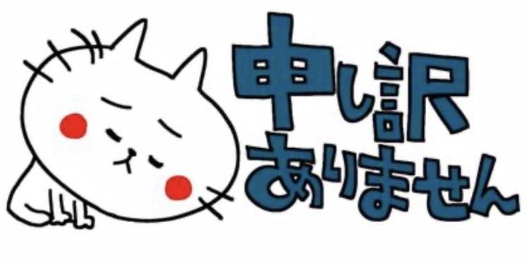 すみません🙇‍♀️