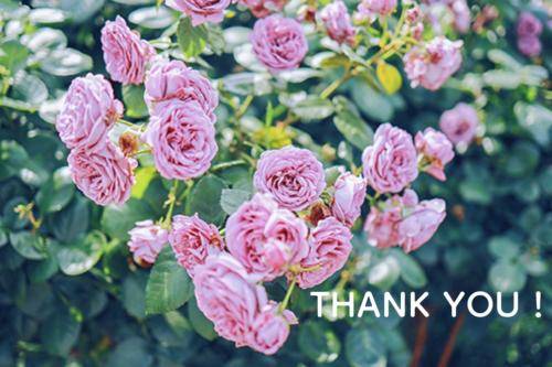 川崎ふたば（イエスグループ 華女(かのじょ) 松山店）