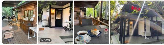 松山市一丁目に🐱がいるカフェ☕️🌿.•*