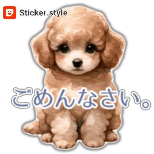 お詫び😢