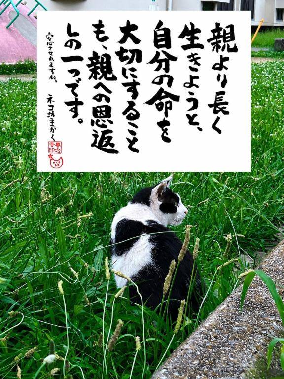 6月最後