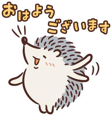 おはようございます✨