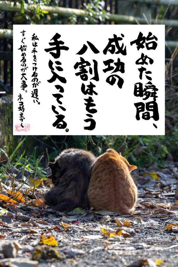 今回も