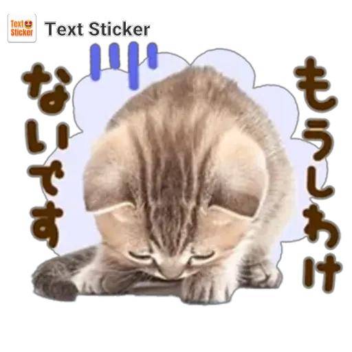 お詫び😭