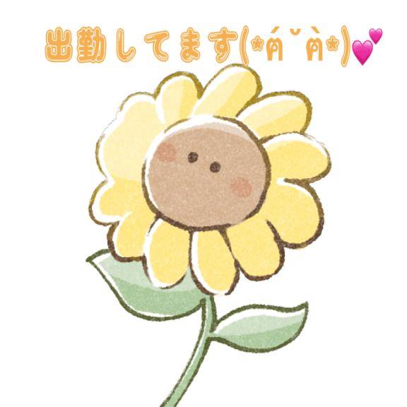 本日出勤してます✨