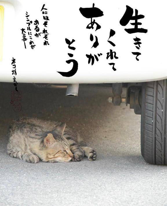 [お題]from:安眠君さん