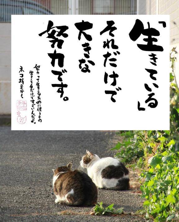 22時40分のアナタ様♥️